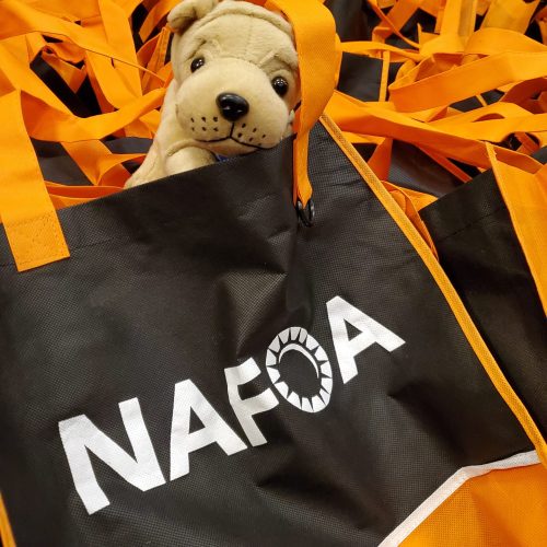 Tote Bag Insert Sponsor