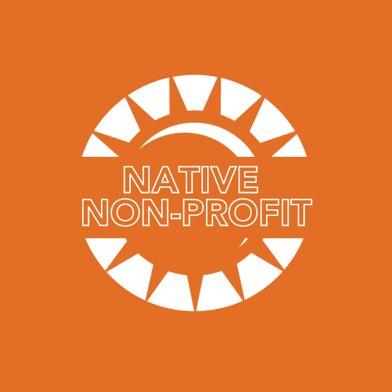 Native Non-Profit Rate - $150